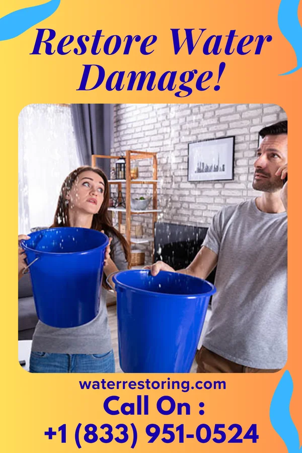 water restoration Global Water Removal Force St. Charles