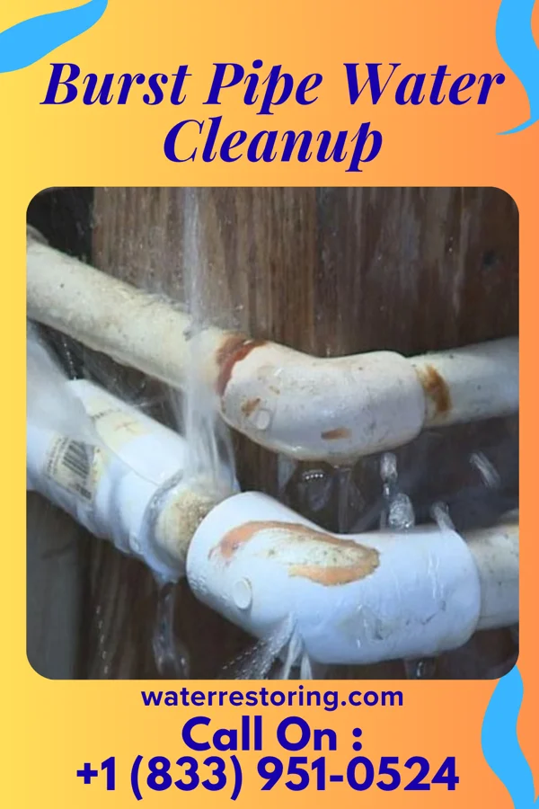 Burst Pipe Water Cleanup in St. Charles, IA