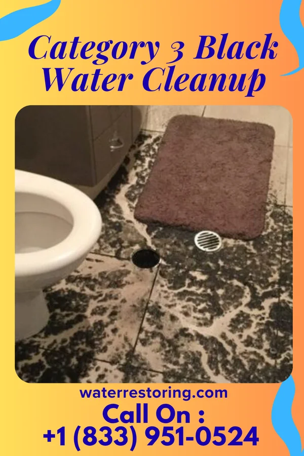 Category 3 Black Water Cleanup in St. Charles, IA